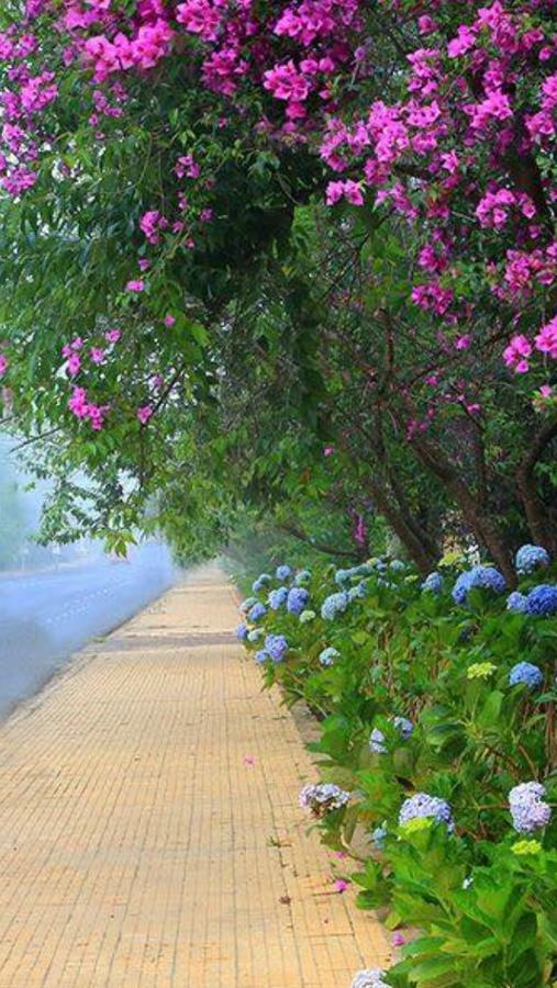Hostel Phuong Nga Νταλάτ Εξωτερικό φωτογραφία