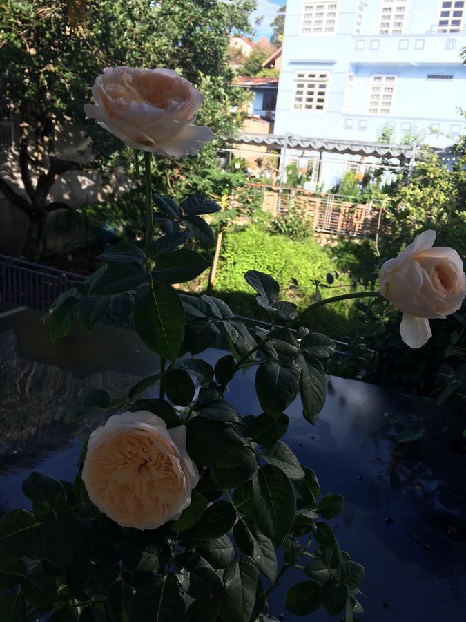 Hostel Phuong Nga Νταλάτ Εξωτερικό φωτογραφία